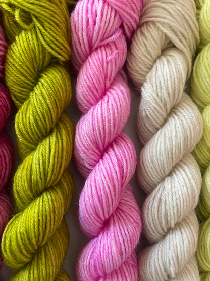 Macaron 4ply Minis
