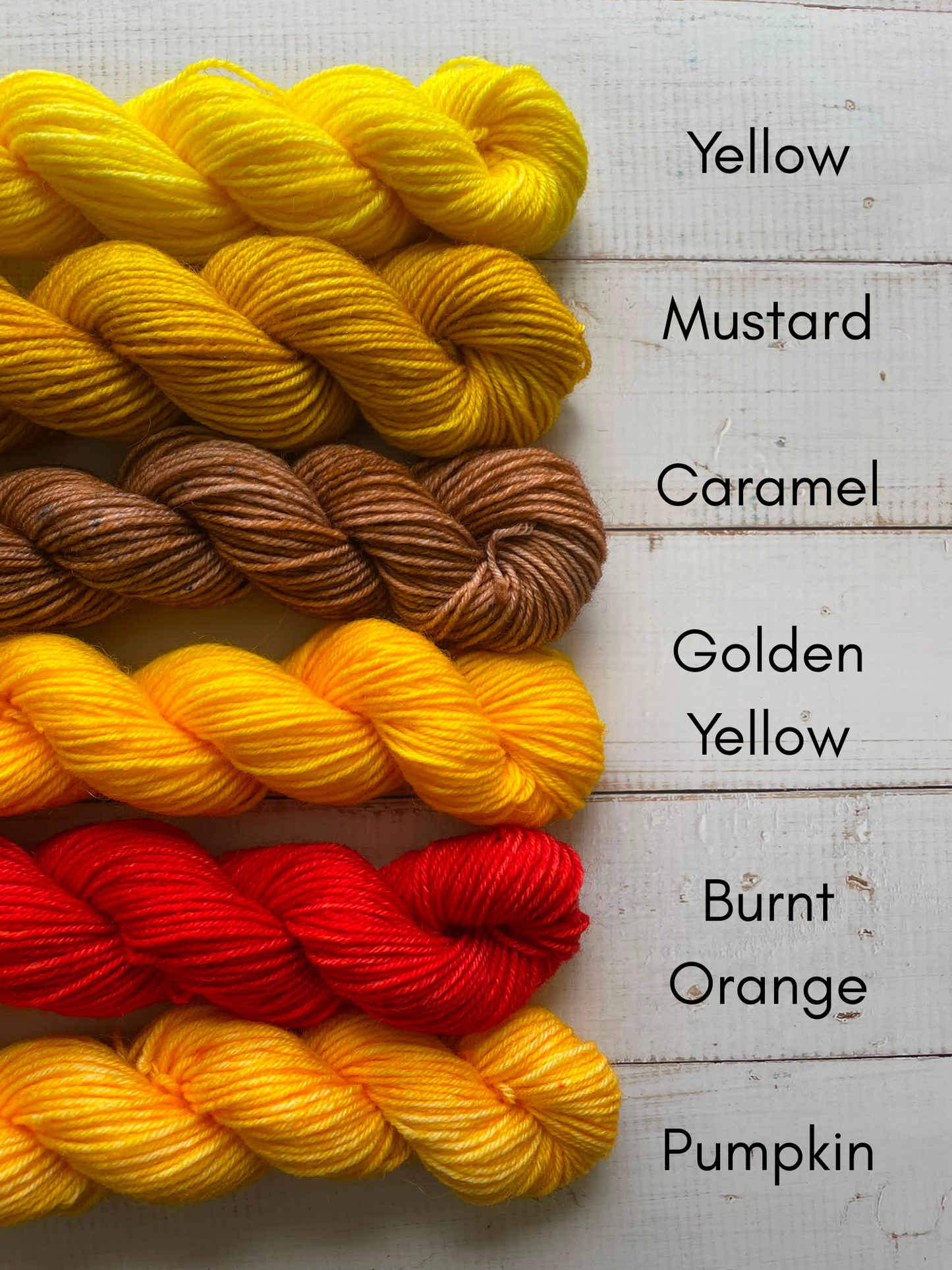 4ply Minis